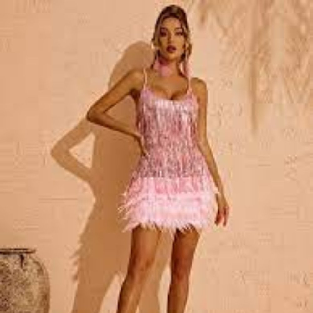 NWT Austyn Tassel Feather Mini Dress In Pink
